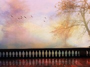 Mystical Visions Photograph by Charlene Mitchell