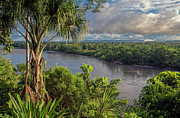 Napo river near Ahuano Photograph by Henri Leduc