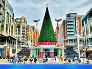 National Harbor Christmas  Photograph by Stephen Dorton