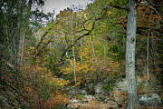 Natural autumn scene with rocks and trees - Lost Maples State Natural Area Photograph by Brigitte Blanchette Thompson Natural autumn scene with rocks and trees - Lost Maples State Natural Area Photograph by Brigitte Blanchette Thompson