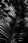 Natural light Photograph by Jorgo Photography Natural light Photograph by Jorgo Photography