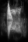 Nature Abstracted 121B Photograph by Sally Fuller