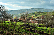 Nature Photograph by Adrian Limani