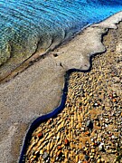 Natures Design  Photograph by Stephen Dorton
