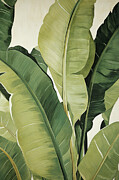Nature's Palette - Botanical Theme Art Painting by Lourry Legarde