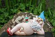 Naughty garden gnome Photograph by Delphimages Photo Creations