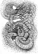 Nautilus Drawing by Franci Hepburn