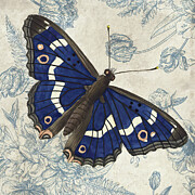 Navy Blue Butterfly Painting by Tina LeCour Navy Blue Butterfly Painting by Tina LeCour