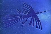 Nazca Condor Digital Art by Alex Mir