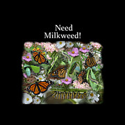 Need Milkweed  Photograph by Aimee L Maher ALM GALLERY