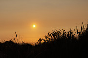Nehalem Oregon Sun Setting 2 Photograph by Cindy Shebley