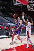 Nemanja Bjelica Photograph by Sam Forencich