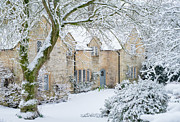 Nestled in the Snow Photograph by Tim Gainey