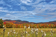 New Hampshire Fall Foliage at the White Steeple Wonalancet Union Church Photograph by Juergen Roth New Hampshire Fall Foliage at the White Steeple Wonalancet Union Church Photograph by Juergen Roth