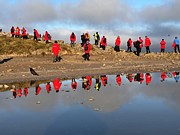 New Island, Falklands Photograph by Darcy Dietrich New Island, Falklands Photograph by Darcy Dietrich