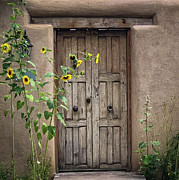 New Mexico Rustic Gate with Sunflowers Photograph by Rebecca Herranen