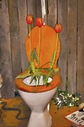 No Peeing Photograph by Elaine Teague No Peeing Photograph by Elaine Teague