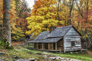 Noah Ogle House Yellow Leaves Photograph by Jimmy Pappas
