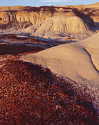 North Bisti Chips Photograph by Tom Daniel