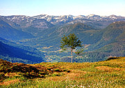 Norwegian Mountains Photograph by Olivier Le Queinec