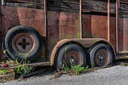 Not Enough Spares Photograph by Karen Smale
