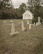 Not Forgotten Photograph by M Kathleen Warren