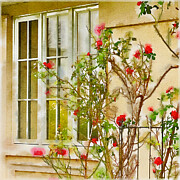 November Flowers Photograph by Marilyn Cornwell