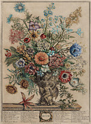 November from the series The Twelve Months of Flowers  Painting by Henry Fletcher