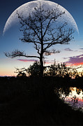 November Sunset Photograph by Pete Federico