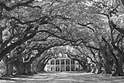 Oak Alley Plantation House Black And White Photograph by Adam Jewell