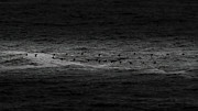 Ocean Runners Photograph by Bill Posner
