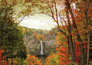 October at Taughannock Photograph by Jessica Jenney