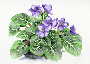 Oh Yeah Painting by Catherine Bede