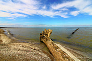 Coastal Ohio Series 4 Photograph by Mary Walchuck