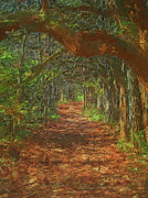 Ohio Tree Tunnel Painting by Dan Sproul Ohio Tree Tunnel Painting by Dan Sproul