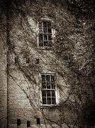 Old Building in Micanopy, Florida Photograph by Dawna Moore Photography