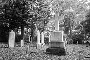 Old Burying Ground - Beaufort North Carolina Photograph by Bob Decker Old Burying Ground - Beaufort North Carolina Photograph by Bob Decker