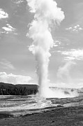 Old Faithful, Yellowstone National Park Photograph by The Yellowstone Collection
