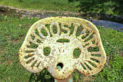 Old Hoosier Seat Photograph by Bentley Davis Old Hoosier Seat Photograph by Bentley Davis