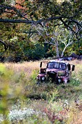 Old Rust in a field Photograph by Lauren Sage