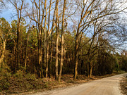 Old State Road Photograph by Charles Hite Old State Road Photograph by Charles Hite