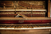 Old Time Music Photograph by KC Hulsman