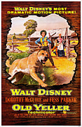 Old Yeller - 1957 Digital Art by Movie Poster