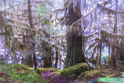 Olympic Rain Forest Digital Art by Macro Abundance Art Olympic Rain Forest Digital Art by Macro Abundance Art
