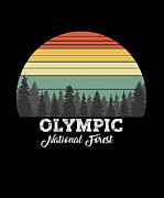 Olympic Washington Drawing by Bruno