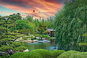 On Golden Pond Sunset Photograph by David Zanzinger On Golden Pond Sunset Photograph by David Zanzinger