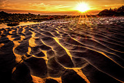 On Golden Sand Photograph by Jeff Sinon On Golden Sand Photograph by Jeff Sinon