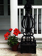 On the Doorstep Photograph by Rick Locke - Out of the Corner of My Eye