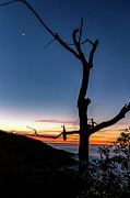 Onion Mountain Sunrise -001 Photograph by Rob Narwid