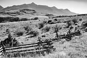 Open Fields And Majestic Peaks Along Last Dollar Road - Black And White Photograph by Gregory Ballos Open Fields And Majestic Peaks Along Last Dollar Road - Black And White Photograph by Gregory Ballos